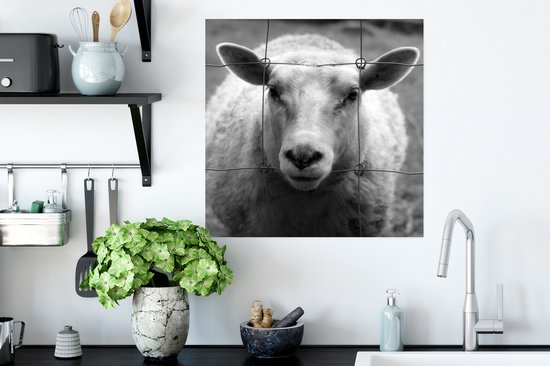 Poster Mouton noir et blanc 50x50 cm - Tirage photo sur Poster (décoration murale salon / chambre) / Poster Animaux