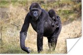 Poster Afbeelding van een Gorilla met een jong op de rug - 180x120 cm XXL