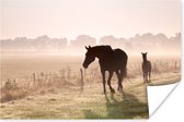 Poster Paarden - Mist - Silhouette - 120x80 cm