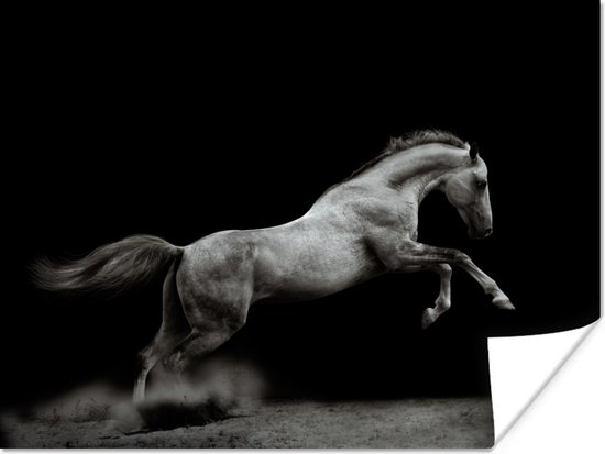 Poster Paard - Zand - Zwart - 40x30 cm