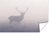 Hert in de mist Poster 180x120 cm - Foto print op Poster (wanddecoratie woonkamer / slaapkamer) / Wilde dieren Poster XXL / Groot formaat!