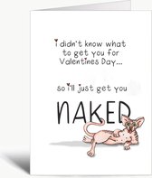 I didn't know what to get you for Valentine's Day... so I'll just get you naked- Valentijnskaart inclusief envelop - Liefde - Kat - Grappig - Humor - Engels - Woordgrap - Sexy