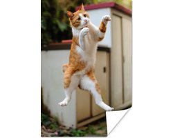 Porno konsert tomosha qiling