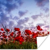 Poster Panorama van een kleurrijk veld klaprozen - 50x50 cm
