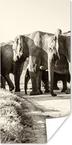 Poster Afrikaanse Olifanten sepia fotoprint - 75x150 cm