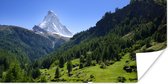 Poster Zwitserse Alpen in Matterhorn met groene bomen - 40x20 cm