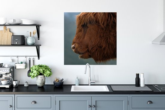 Affiche Scottish Highlander - Animaux - Brouillard - 75x75 cm