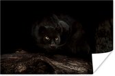Zwarte panter in een donker bos poster papier 180x120 cm - Foto print op Poster (wanddecoratie woonkamer / slaapkamer) / Close-Up Poster XXL / Groot formaat!