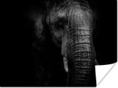 Éléphant sur fond noir en papier poster noir et blanc 160x120 cm - Tirage photo sur Poster (décoration murale salon / chambre) / Poster Groot XXL / Grand format!