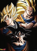 Poster Dragon Ball Goku Transformations 38x52cm