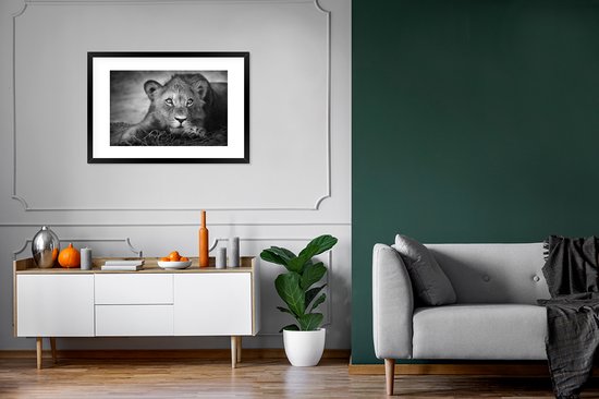 Cadre photo avec affiche - Animaux sauvages - Lion - Nature - Zwart - Wit - 90x60 cm - Cadre pour affiche