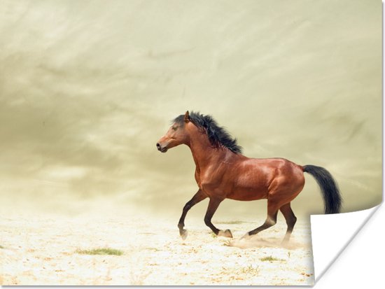 Poster Paard - Stof - Zand - 120x90 cm