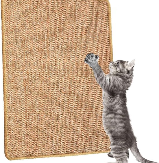 Pet