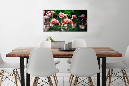 PosterMonkey - Poster - Cadre photo - Vogel - Water - Flamingo - Tropical - Animaux - 80x40 cm - Affiche sous cadre - Affiche flamant rose - Photo avec cadre - Affiche avec cadre