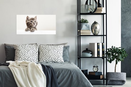 Poster Poes - Grijs - Dieren - 80x40 cm