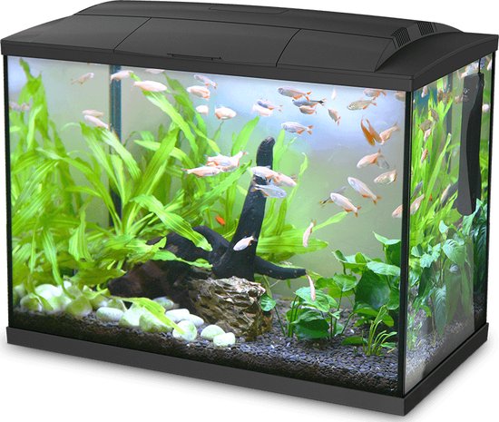 Happet - K60 Hailea Aquarium, 60 L Black - S-h094ha - 1st