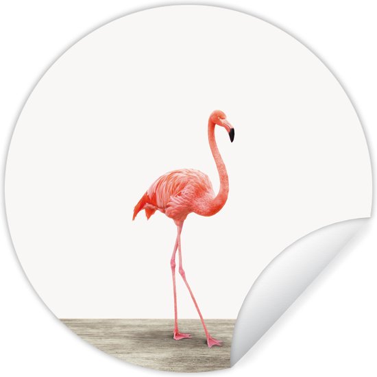 Behangsticker kind - Kinderkamer decoratie - Flamingo - Roze - Vogel - Meisjes - Jongens - Kind - 140x140 cm - Muurdecoratie jongenskamer - Muursticker kinderkamer
