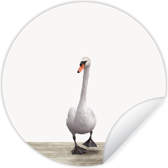 Cygne imprimé animal pépinière mur autocollant papier peint cercle ⌀ 120 cm / cercle de papier peint / cercle mural / cercle vivant - auto-adhésif et découpe ronde