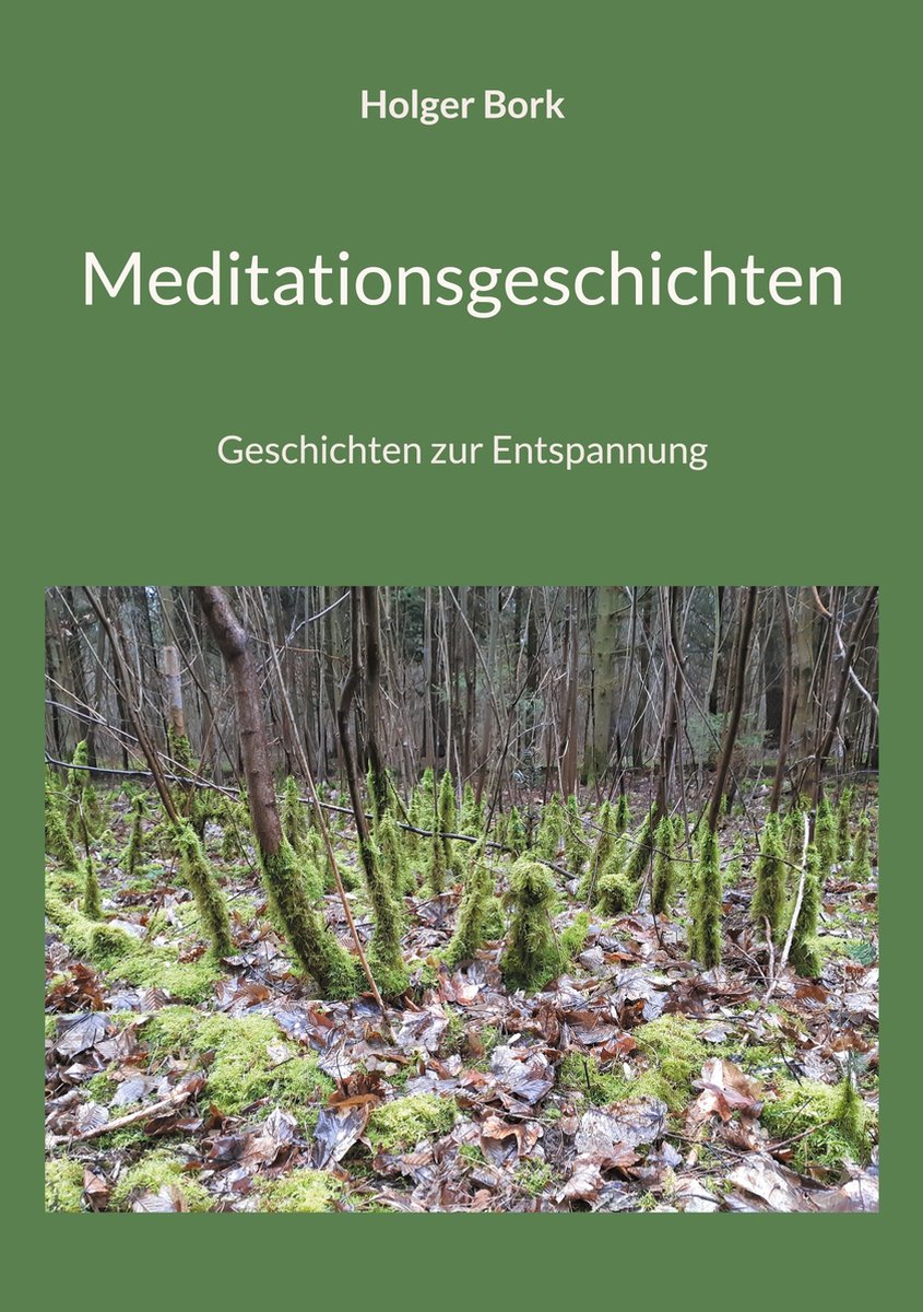 meditationsgeschichten-ebook-holger-bork-9783758345685-boeken-bol