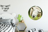 WallCircle - Cercle Mural - Cercle Mural - Mouton - Amusant - Pâturage - Enfants - Garçons - Filles - Enfant - Aluminium - Dibond - 60x60 cm - Intérieur et Extérieur