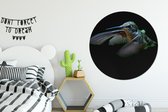 Wall Circle - Wall Circle - Colibri - Vogel - Ressorts - Zwart - Aluminium - Dibond - 140x140 cm - Intérieur et Extérieur