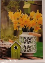 Deze blanco kaart met vrolijke kleuren passen bij meerdere gelegenheden. Een grappige wenskaart met een vogelhuisje op de tafel en aan de bomen op de achtergrond. Een dubbele wenskaart inclusief envelop en in folie verpakt.