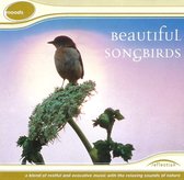 Beautiful Songbirds