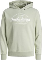 JACK&JONES JUNIOR JJFOREST SWEAT HOOD JNR Pull Garçons - Taille 164