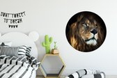 WallCircle - Wandcirkel ⌀ 90 - Leeuw - Vacht - Zwart - Ronde schilderijen woonkamer - Wandbord rond - Muurdecoratie cirkel - Kamer decoratie binnen - Wanddecoratie muurcirkel - Woonaccessoires
