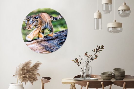 Tigre - Cub - Arbre Aluminium XXL