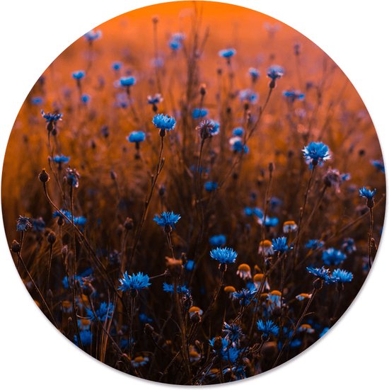 Label2X - Muurcirkel - Blue Dream - Ø 30 cm - Dibond - Multicolor - Wandcirkel - Rond Schilderij - Bloemen en Planten - Muurdecoratie Cirkel - Wandecoratie rond - Decoratie voor woonkamer of slaapkamer