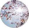 Blue Violet - Multicolore