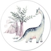 Cercle mural kids dino world Ø 20 cm / Forex