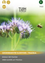 Tuin de Bruijn® zaden - Groenbemester Bijenvoer / Phacelia - voor 50m2