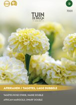 Tuin de Bruijn® zaden - Afrikaantjes / Tagetes Eskimo, lage dubbele - bijna witte bloemen - aanwinst voor elk terras, balkon en elke tuin - 0,4 gram zaden