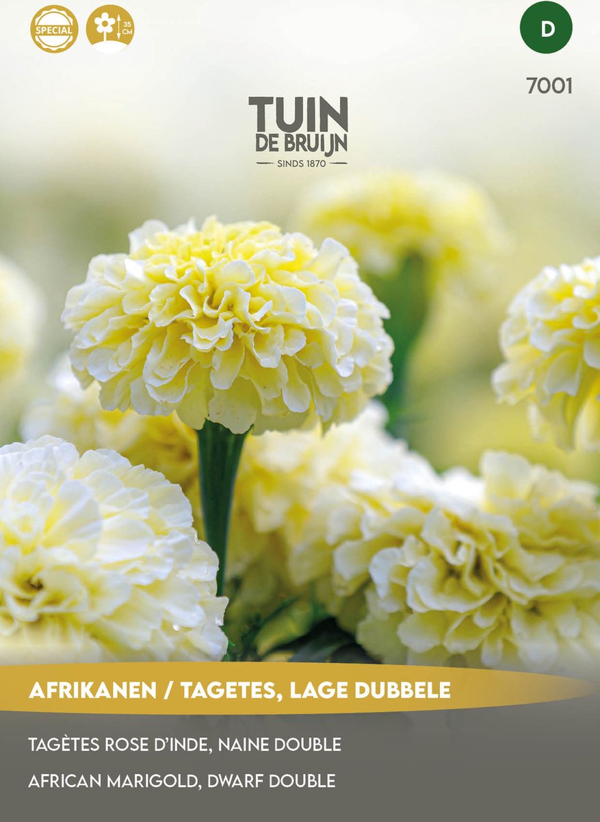 Tuin de Bruijn® zaden - Afrikaantjes / Tagetes Eskimo, lage dubbele - bijna witte bloemen - aanwinst voor elk terras, balkon en elke tuin - 0,4 gram zaden - Tuin de Bruijn