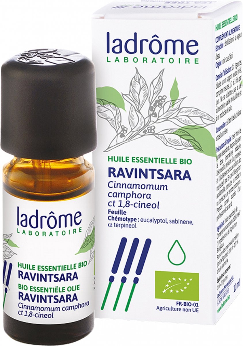 Goedkoopste Pit&Pit - Ravintsara etherische olie bio 10 ml - Fris en kamferachtig aroma - Zuiver en onverdund