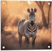 Tuinposter – Dier - Zebra - Bos - Wild - 50x50 cm Foto op Tuinposter (wanddecoratie voor buiten en binnen)