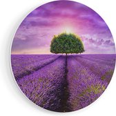 Artaza Forex Muurcirkel Groene Boom In De Lavendel Bloemen - 70x70 cm - Wandcirkel - Rond Schilderij - Wanddecoratie Cirkel - Muurdecoratie