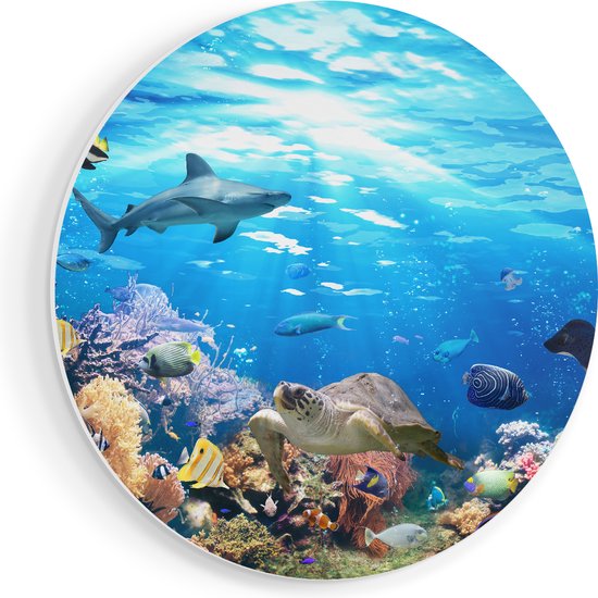 Artaza Forex Muurcirkel Vissen met Koraalrif Onder Water - 70x70 cm - Wandcirkel - Rond Schilderij - Wanddecoratie Cirkel - Muurdecoratie