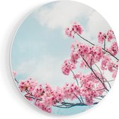 Artaza Forex Muurcirkel Roze Bloesemboom - Bloemen - 80x80 cm - Groot - Wandcirkel - Rond Schilderij - Wanddecoratie Cirkel