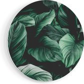 Artaza Forex Muurcirkel Tropische Groene Bladeren - 50x50 cm - Klein - Wandcirkel - Rond Schilderij - Muurdecoratie Cirkel
