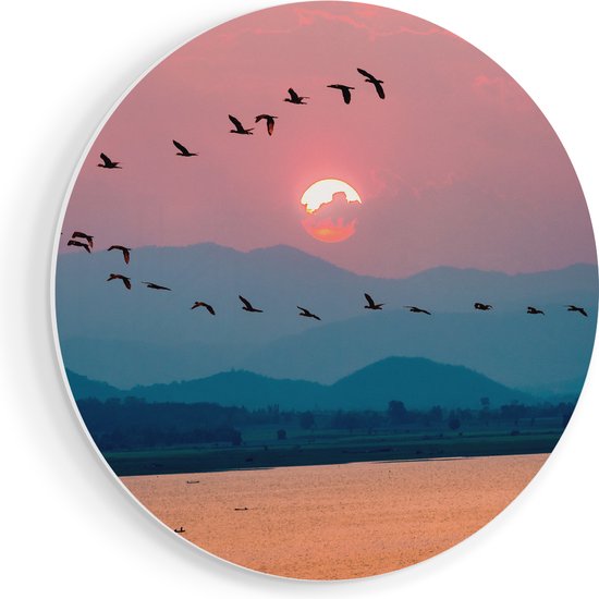 Artaza Forex Muurcirkel Silhouet Van Zwerm Vogels Bij Zonsondergang - 50x50 cm - Klein - Wandcirkel - Rond Schilderij - Muurdecoratie Cirkel