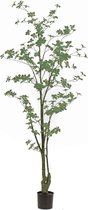 Emerald - Kunstboom Tropaeolum 185cm - Kunstplanten voor binnen