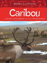 Animals Illustrated- Animals Illustrated: Caribou