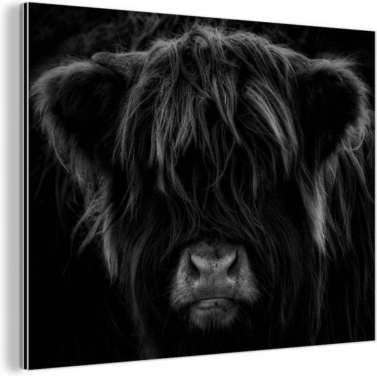 MuchoWow© Canvas Schilderij 120x80 cm Kamer Decoratie Woonkamer Slaapkamer Room Decor Wanddecoratie Wall Art Painting Schotse hooglander - Krant - Toilet