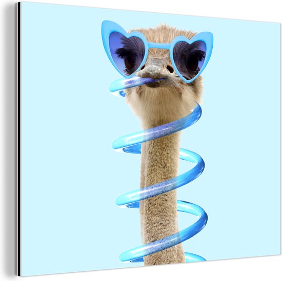 Décoration murale Métal - Peinture Aluminium Industriel - Autruche - Lunettes de soleil - Blauw - Animaux - 80x60 cm - Dibond - Photo sur aluminium - Décoration murale industrielle - Pour le salon/chambre