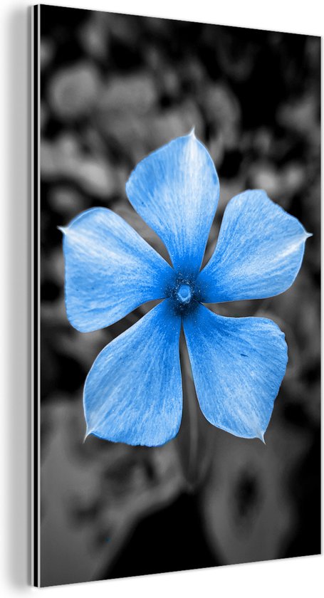 Décoration murale Métal - Aluminium - Fleurs - Blauw - Zwart - Wit - 20x30 cm