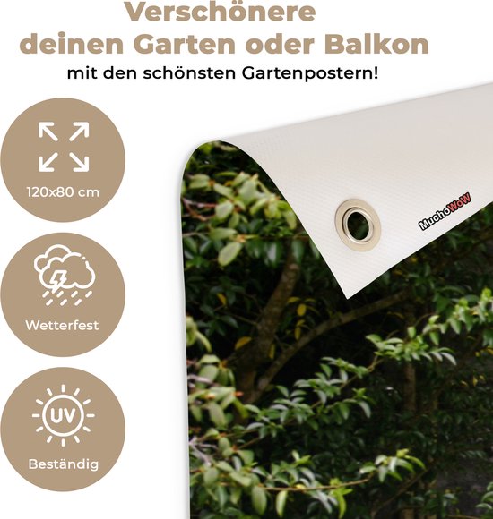 Jardin - Palmier - Vue - Pierre - Canoë - Toile de clôture - 120x80 cm - Affiche de jardin - Toile de jardin