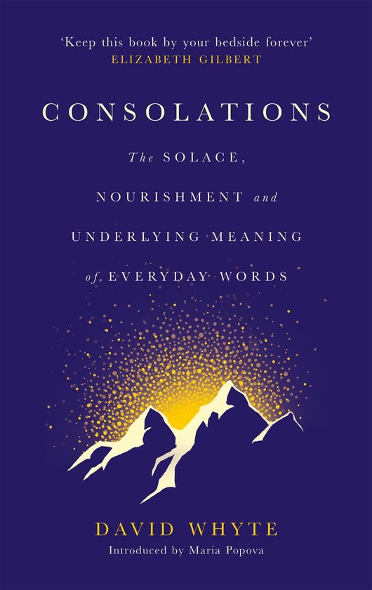 Boek 'Consolations' door David Whyte. Paarse omslag met gele opdruk en gouden stipjes die oprijzen uit bergen.